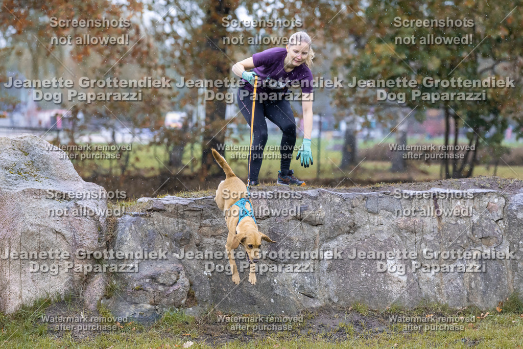 Dog Paparazzi - SD CaniX Championship 2025-706 | Dog Paparazzi Jeanette Grottendiek Fotografie & Videografie - Realisiert mit Pictrs.com