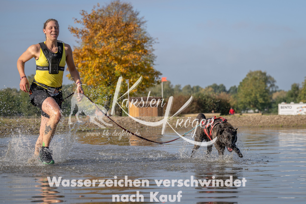 1031_ZZ93716 | kk-dogfotos