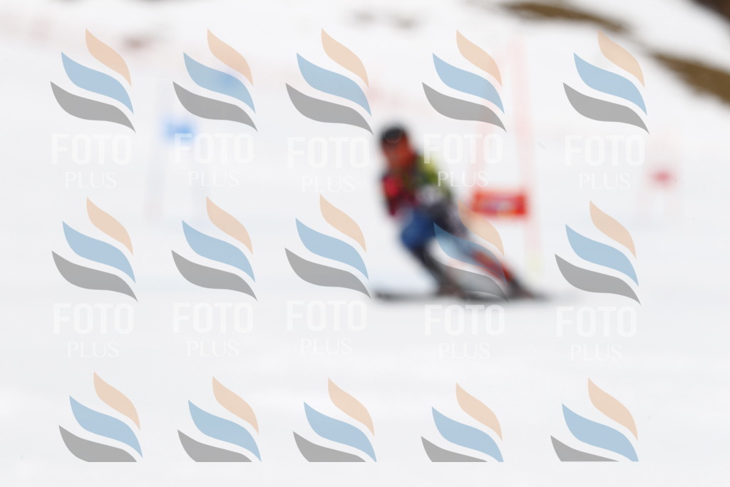 _U3G6739 | holidayphoto