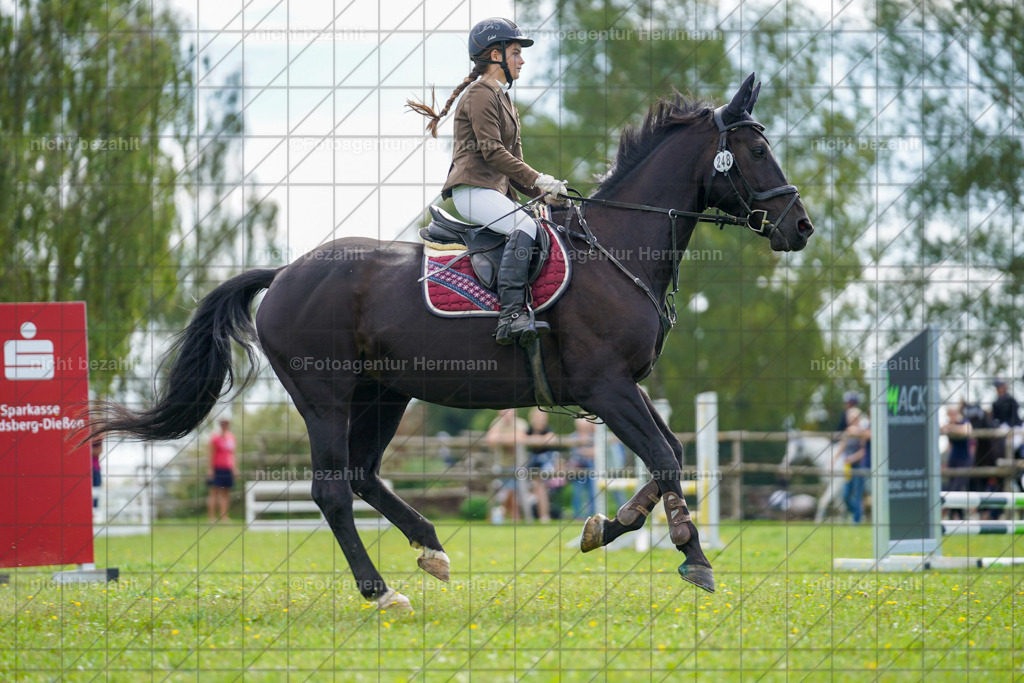 20230917-FAH09248 | Landsberg am Lech, 2023, Kaufbeuren, Kempten, Allgäu, Turnierfotografen Bayern, Fotoagentur Herrmann, Turnierbilder, Reitsport Fotos, Pferdefotograf, Augsburg, Bad Tölz, Dachau, Karlsfeld, Memmingen, Buchloe, Schwabmünchen