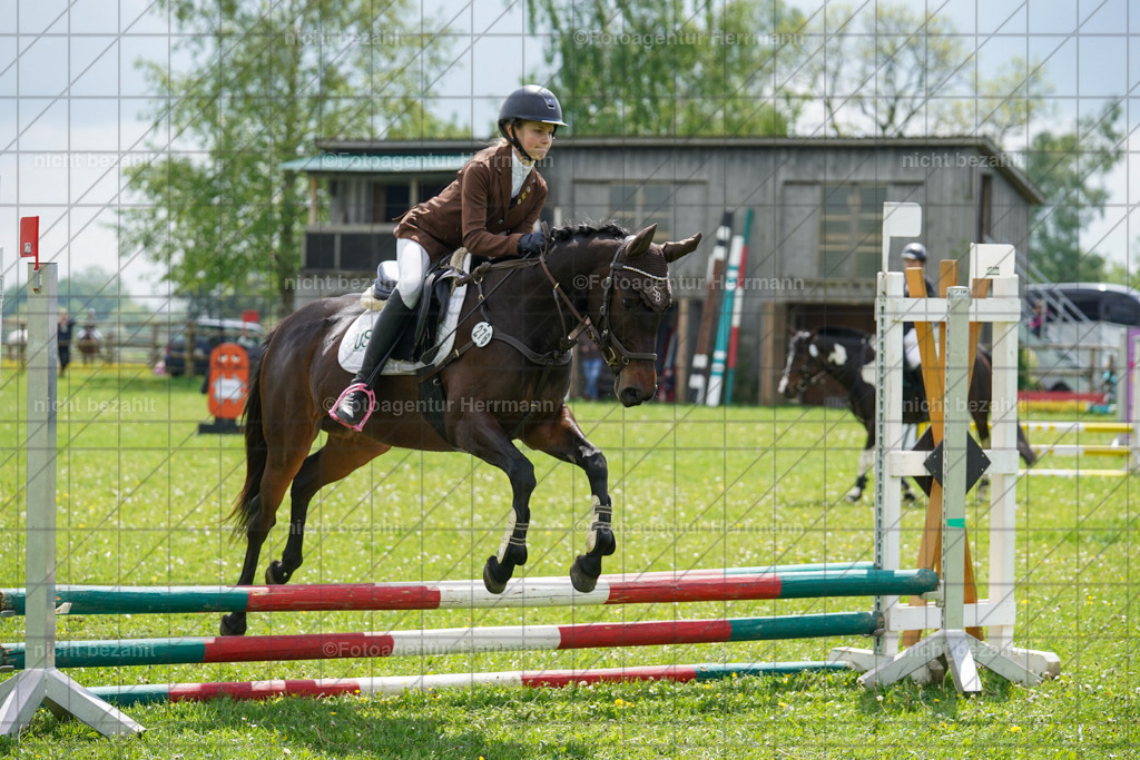 20240509-FAH02344 | Turnierbilder der Turnierfotografen Bayern, Pferdesport Fotografie, Reitsportbilder, Turnier Landberg am Lech, Turnierbilder bayern, Fotoagentur Herrmann