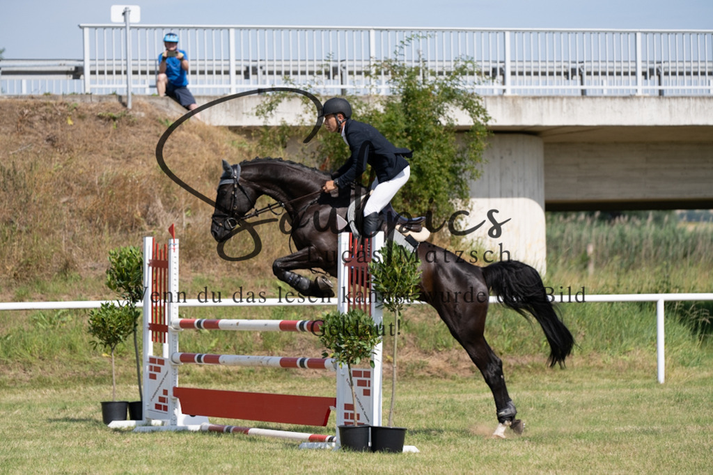 A7V01596 | Pferdefotograf