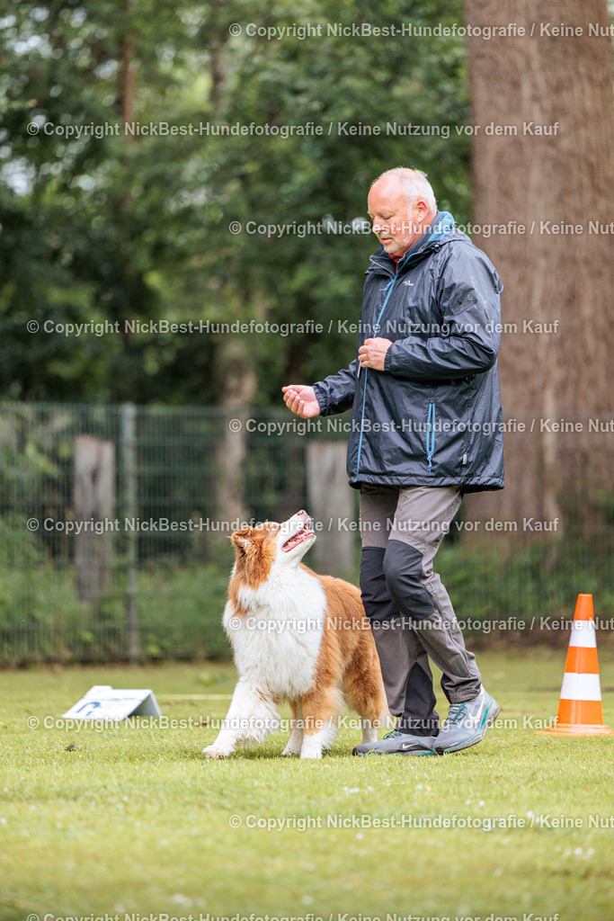 RO-Blumenthal-2026-Nickbest-Hundefotografie-0707 | Dein Hund! Dein Moment! Deine Erinnerungen! Hundefotografie in Bremen Blumenthal. Ich fange die besonderen Momente deines Vierbeiners ein – ob Indoor mit Blitzanlage oder in der freien Natur. Sicher dir dein Moment und dein Termin für eure Erinnerungen.