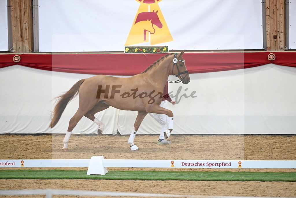 Kat.-Nr. 48 v. De Niro Gold_Schulze Averdiek_2250130 | hf-fotografie - Realisiert mit Pictrs.com