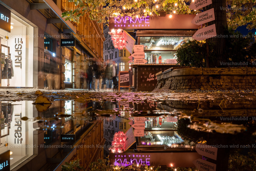 DSC03714 | marcuslinek