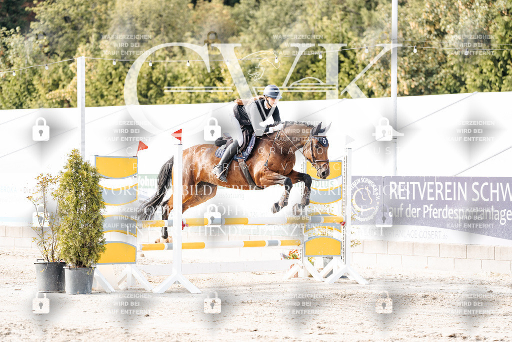 CK906450 | Turnierfotografie Pferdefotografie Trier Rheinland-Pfalz Pferdesport Reitsport Tierfotografie Sportfotografie Pferdevideo Pferdevideografie Equestrianvideography equestrianphotography  - Realisiert mit Pictrs.com