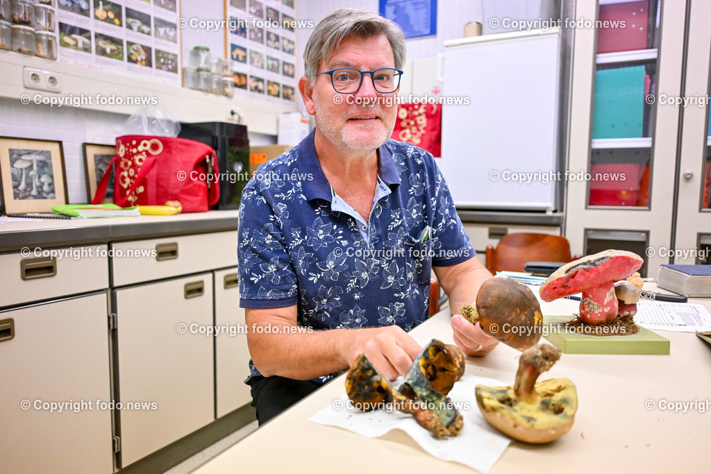 Magistrat Linz_ Speisepilzberatung_ 21.09.2023-5 | 21.09.2023,Linz, AUT, Neues Rathaus, Speisepilzberatung, im Bild Pilze, Schwammerl, werden in geniessbar-essbar und ungeniessbar-giftig von Albert Kapun (Pilzspezialist) bestimmt