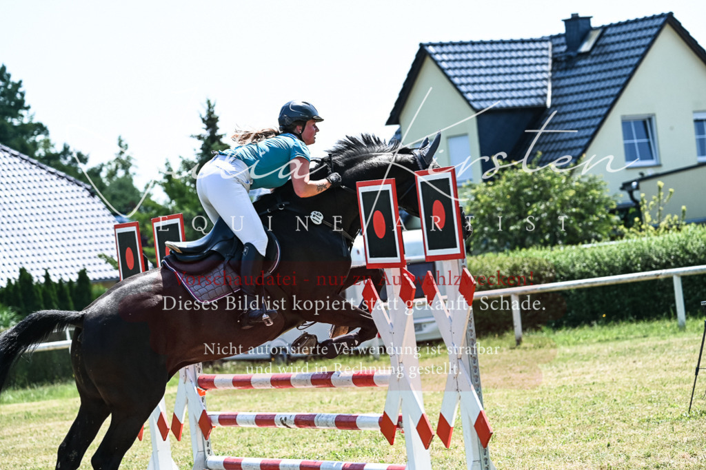 DSC_0069 | Pferde- und Turnierfotografie in Westsachsen. Pferdeportraits, Auftragszeichnungen und intuitive Kunst.