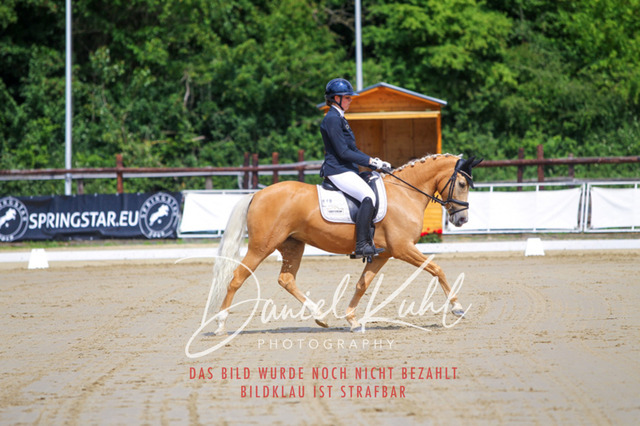 DKP45871 | Turniersportfotografie; Pferdefotografie; Dressurfotografie