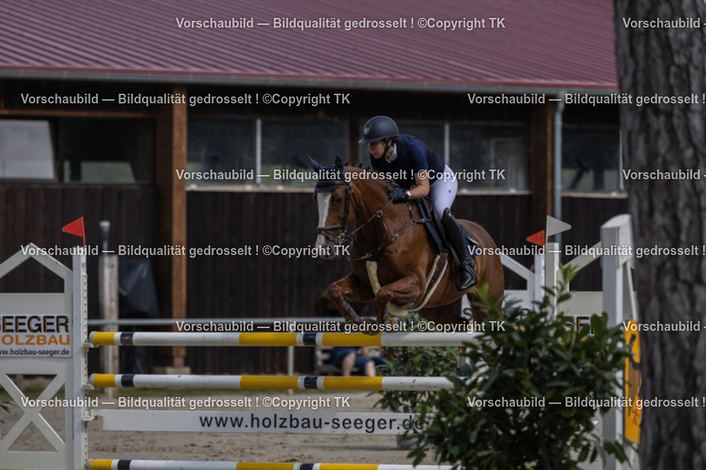 _D5A1445 | Emotionale Pferde- & People-Fotografie rund um Heidelberg, Leimen & Umgebung. Natürliche Fotos von Pferd, Mensch & Familie. Jetzt Termin sichern!