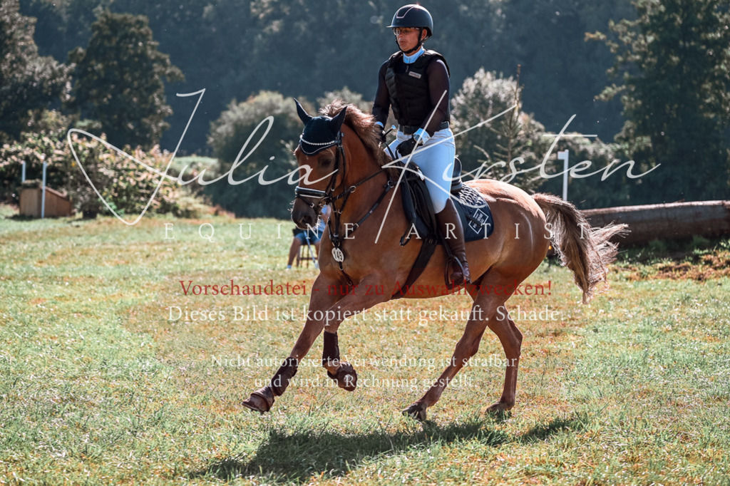 DSC_0783 | Pferde- und Turnierfotografie in Westsachsen. Pferdeportraits, Auftragszeichnungen und intuitive Kunst.