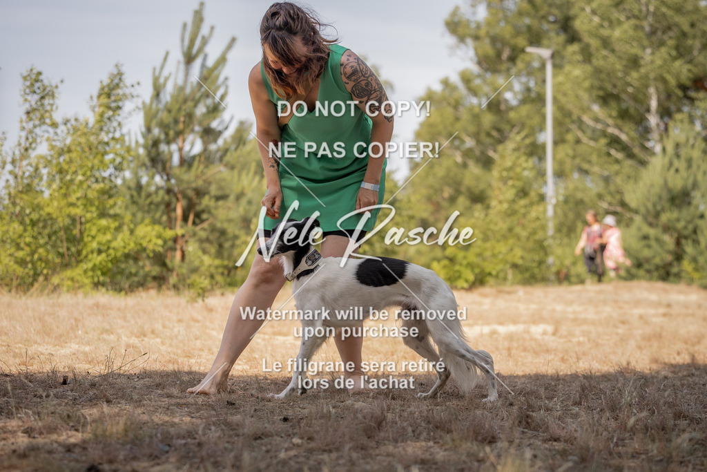 nelerasche_soDD2_440 | nelerasche