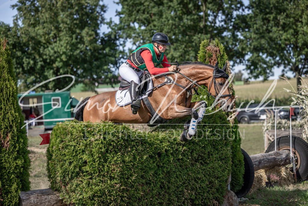 20250907-_3LI2030 | Tierfotografie Pferde, Hunde, Katzen, Haustiere.
Turnierfotografie Reitturniere, Reiten, Springreiten, Dressur in Hanau, dem Main-Kinzig-Kreis und dem Rhein-Main- Gebiet um Frankfurt