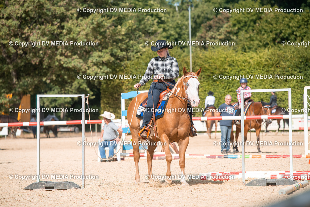 EWP_6903 | dv-media-shop - Realisiert mit Pictrs.com