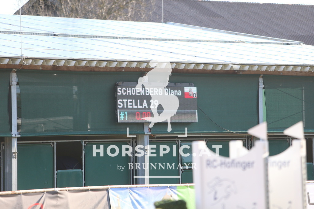 DL2Q1776 | Willkommen bei Brunnmayr - Design & Fotografie – Ihrem Spezialisten für Reitturniere und Pferdeveranstaltungen in Oberösterreich, Salzburg und Bayern! Seit über 17 Jahren sind wir leidenschaftlich dabei.