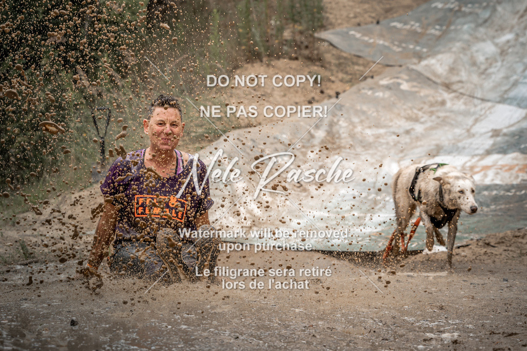 nelerasche_sa1600-1700_467 | nelerasche