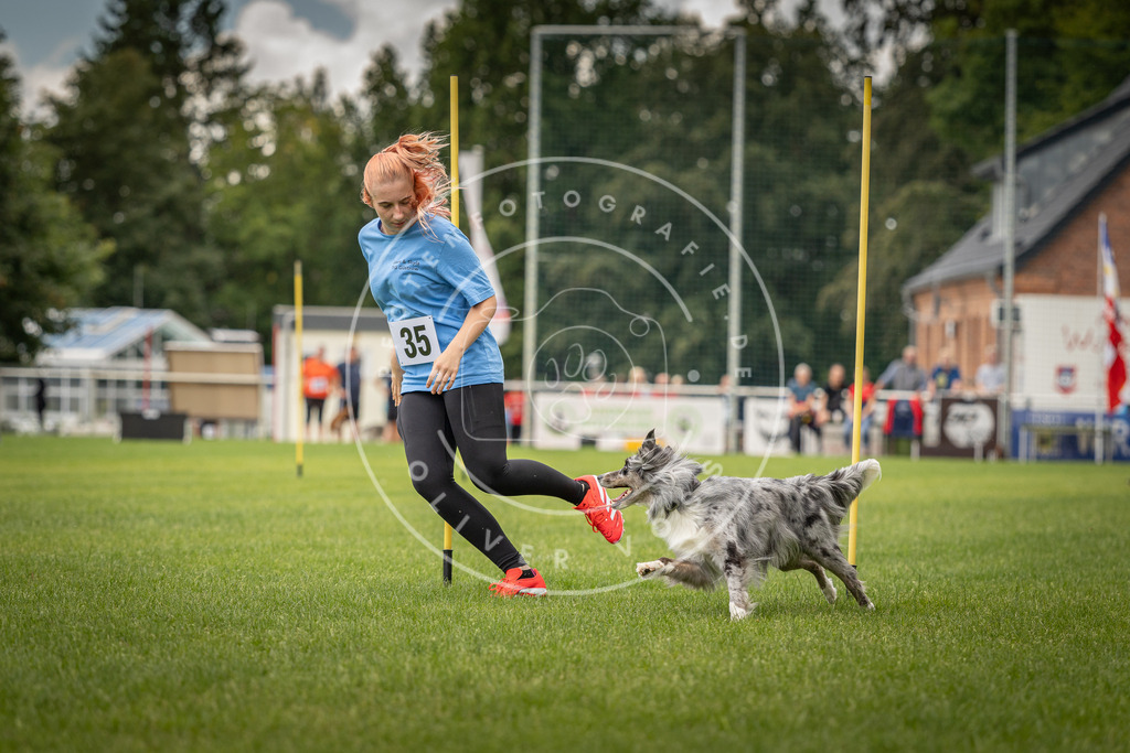 Pfotenfotografie_DV3A2600 | Hundefotografie, Tierfotograf, Pfotenfotografie, Fotoshooting Hund, Hunde Portrait, Hundesport, Hundeportraits, Heideshooting, Hunde, Sportfotograf, Hundefotograf, Turnierhundsport, THS,  - Realisiert mit Pictrs.com