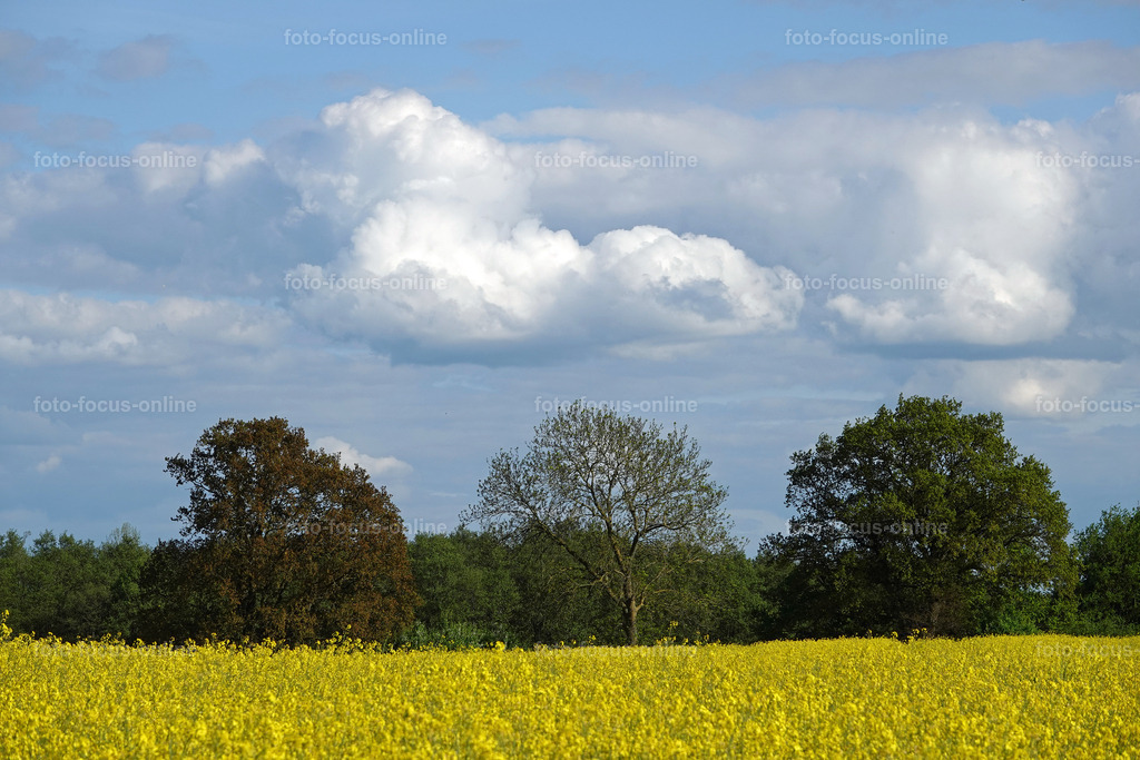rapps-heute_16 | foto-focus-online
