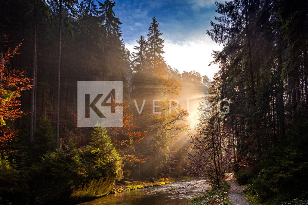 Wandbild-Polenztal-Herbst-0U3A8785 | Faszinierendes Lichtspiel im herbstlichen Polenztal, Sächsische Schweiz im Elbsandsteingebirge - Realisiert mit Pictrs.com