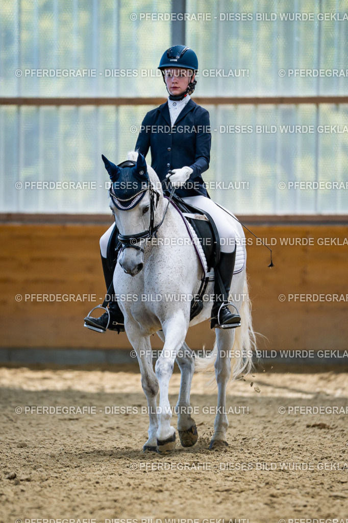 DSC05602 | Pferdegrafie