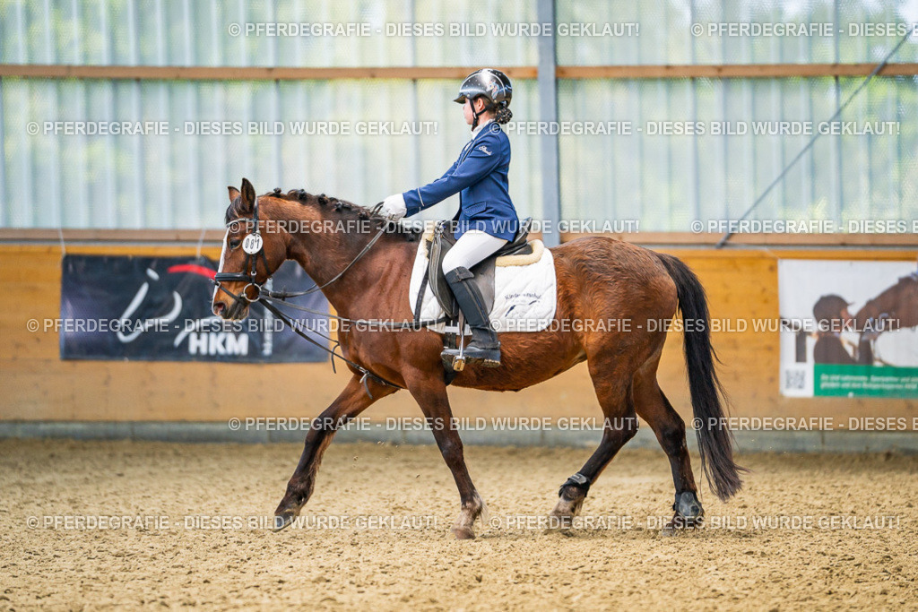 DSC02486 | Pferdegrafie