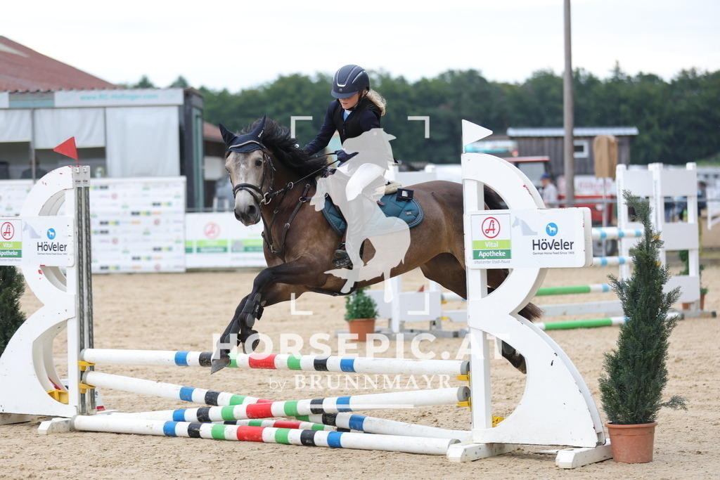 0P6A7113 | Willkommen bei Brunnmayr - Design & Fotografie – Ihrem Spezialisten für Reitturniere und Pferdeveranstaltungen in Oberösterreich, Salzburg und Bayern! Seit über 17 Jahren sind wir leidenschaftlich dabei.