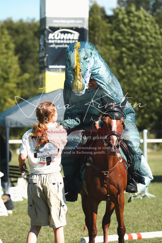 DSC_7665 | Pferde- und Turnierfotografie in Westsachsen. Pferdeportraits, Auftragszeichnungen und intuitive Kunst.