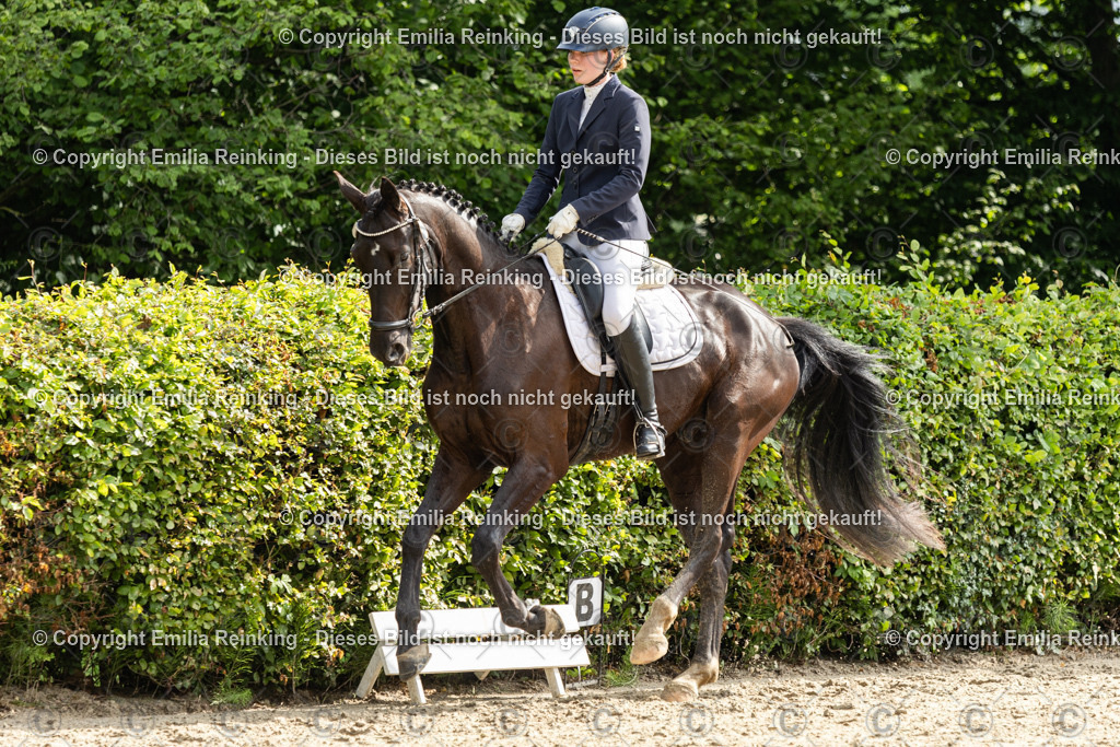 CL5A4459 | Emilia Reinking Fotografie - Realisiert mit Pictrs.com