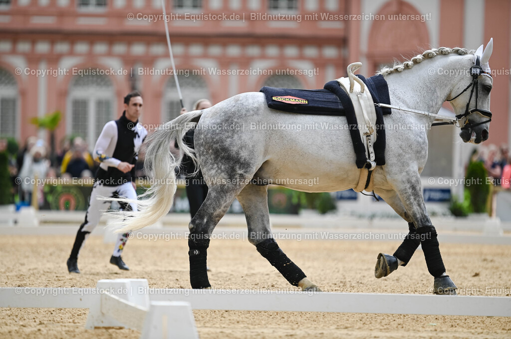 20250608_CVI-Masterclass_0230 | Foto: Thomas Hartig