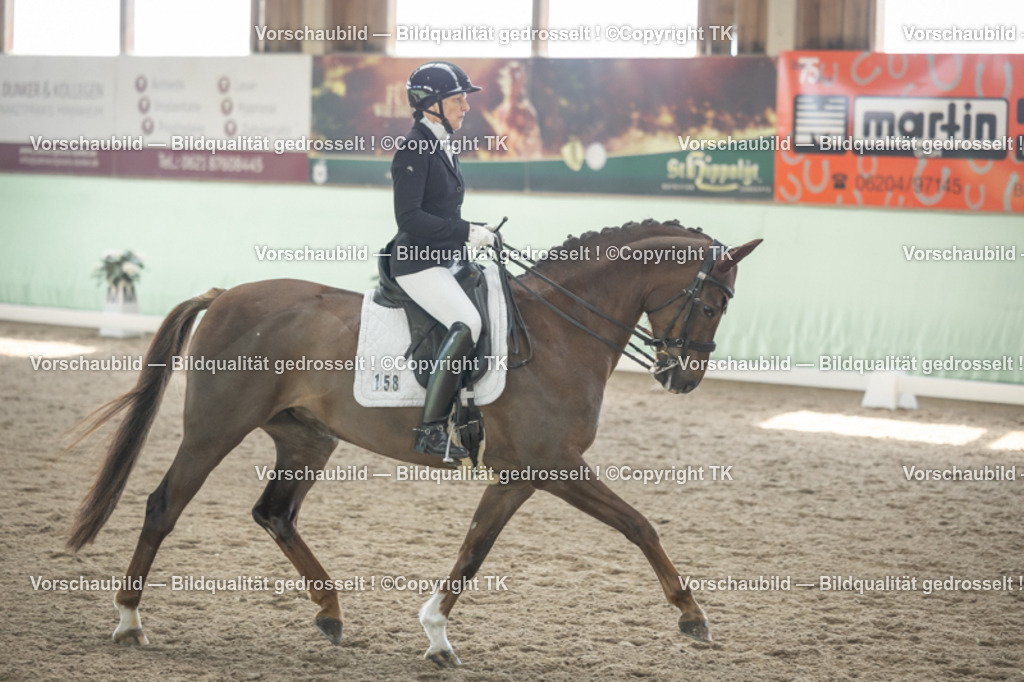 _D5A1182 | Emotionale Pferde- & People-Fotografie rund um Heidelberg, Leimen & Umgebung. Natürliche Fotos von Pferd, Mensch & Familie. Jetzt Termin sichern!