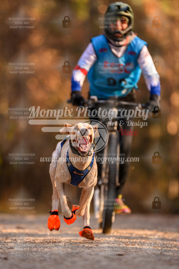 MompixPhotography_DM_AKDM_SO_2025_Scooter-163 | PayLife