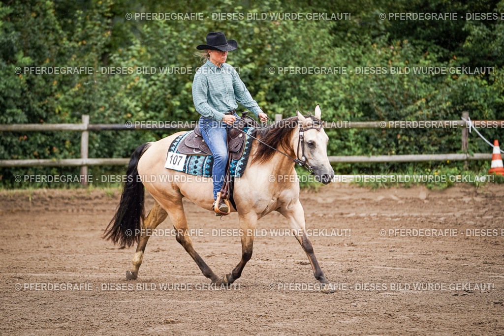 DSC05565 | Pferdegrafie