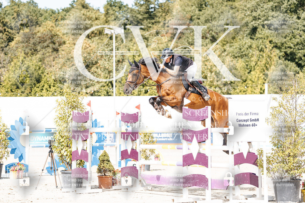 CK904873 | Turnierfotografie Pferdefotografie Trier Rheinland-Pfalz Pferdesport Reitsport Tierfotografie Sportfotografie Pferdevideo Pferdevideografie Equestrianvideography equestrianphotography  - Realisiert mit Pictrs.com