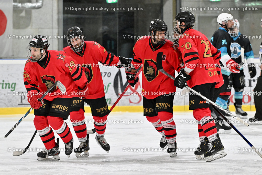 Lendhafen Seelöwen vs. Spartans Althofen | #81 Jakobitsch Silvio Spartans Althofen, Jubel Spartans Althofen Mannschaft, #89 Pirmann Markus Spartans Althofen, #20 Ban Christian Spartans Althofen, #77 Schumnig Stefan Spartans Althofen, Lendhafen Seelöwen vs. Spartans Althofen, Lendhafen Seelöwen vs. Spartans Althofen am 14.02.2025 in Ferlach (HTC Eishalle Ferlach), Austria, (Photo by Bernd Stefan)