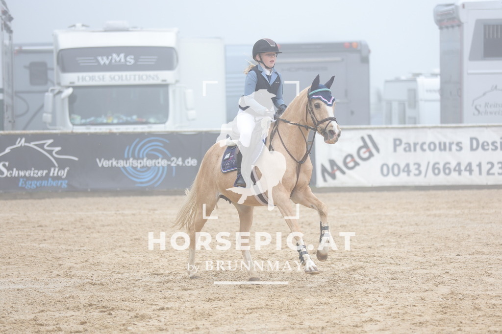 0P6A0268 | Willkommen bei Brunnmayr - Design & Fotografie – Ihrem Spezialisten für Reitturniere und Pferdeveranstaltungen in Oberösterreich, Salzburg und Bayern! Seit über 17 Jahren sind wir leidenschaftlich dabei.