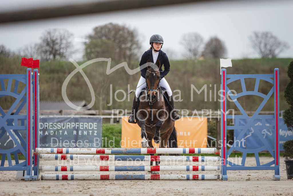 240330_Fruehlingsfest_Stilspring-WB-562 | Deine schönsten Turniermomente als professionelle Fotos! Entdecke hochwertige Pferdesport-Fotografie im Online-Shop. Jetzt Fotos finden & bestellen!