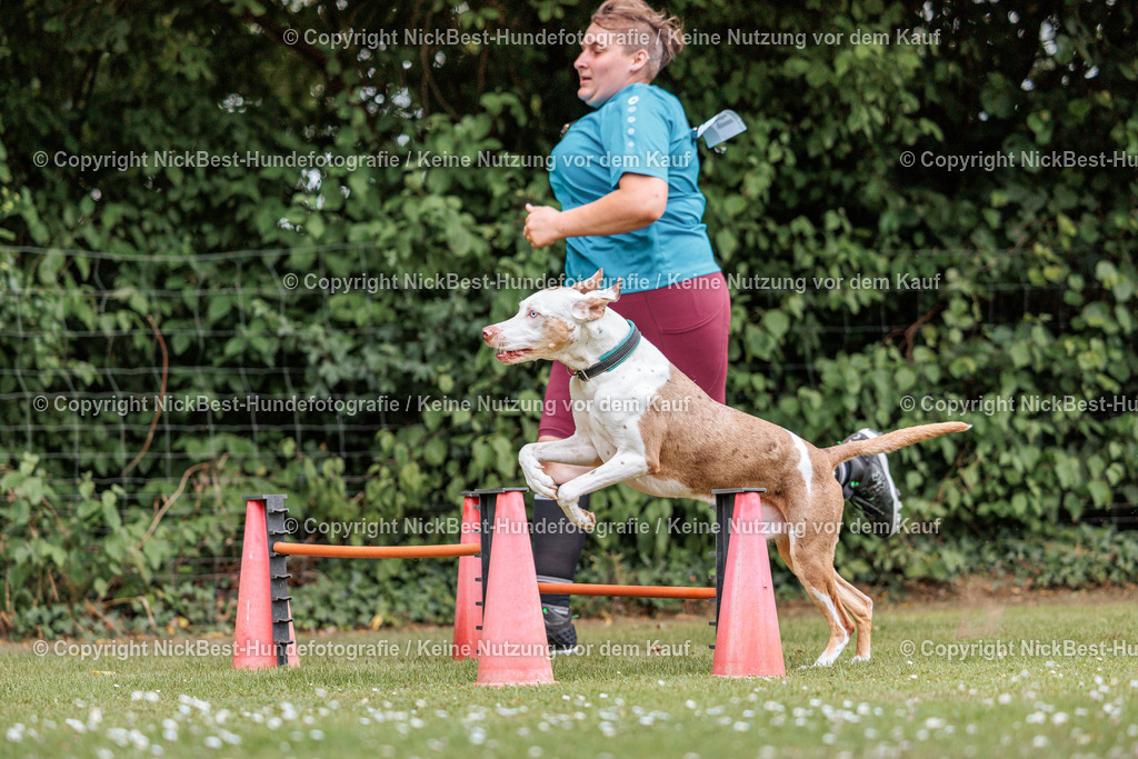 THS-Quakenbrück-2026-Nickbest-Hundefotografie-3969 | Dein Hund! Dein Moment! Deine Erinnerungen! Hundefotografie in Bremen Blumenthal. Ich fange die besonderen Momente deines Vierbeiners ein – ob Indoor mit Blitzanlage oder in der freien Natur. Sicher dir dein Moment und dein Termin für eure Erinnerungen.