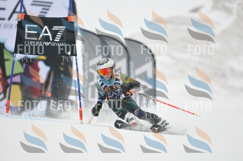 DSC_7813 | holidayphoto