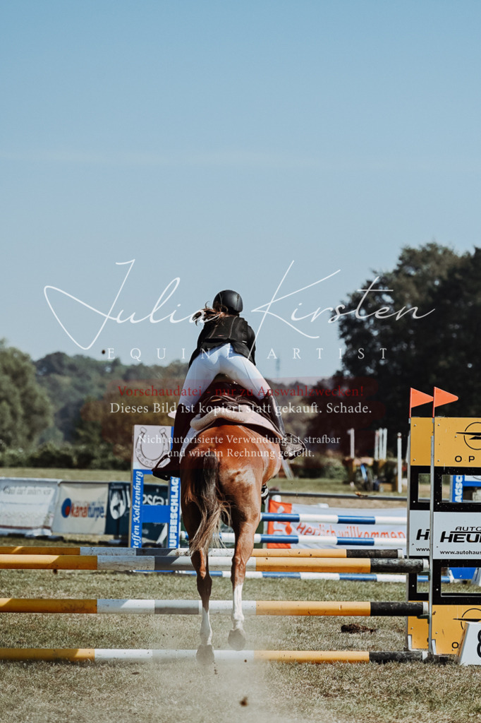 DSC_9597 | Pferde- und Turnierfotografie in Westsachsen. Pferdeportraits, Auftragszeichnungen und intuitive Kunst.