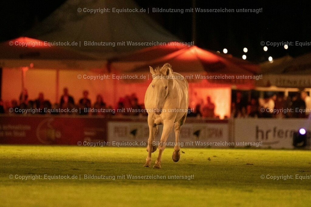 20230526_Pferdenacht_1463 | equistock