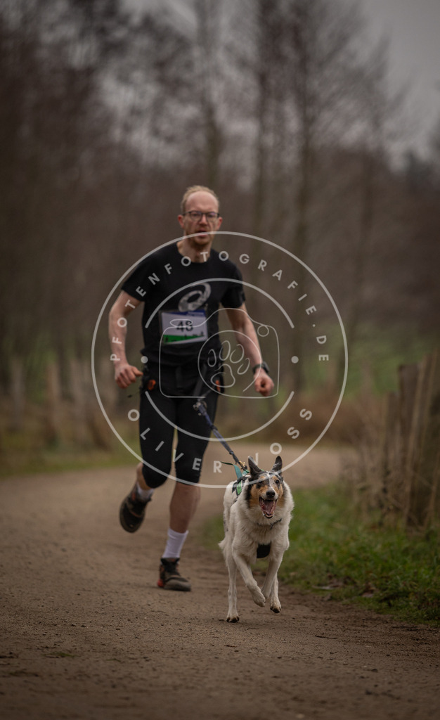 Pfotenfotografie_DV3A2752 | Hundefotografie, Tierfotograf, Pfotenfotografie, Fotoshooting Hund, Hunde Portrait, Hundesport, Hundeportraits, Heideshooting, Hunde, Sportfotograf, Hundefotograf, Turnierhundsport, THS,  - Realisiert mit Pictrs.com