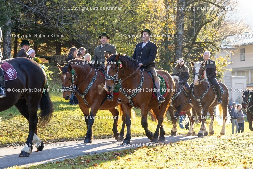 LL24-184 | foto-bettina-krinner - Realisiert mit Pictrs.com