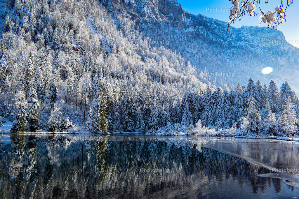 IMG_6831 | phototaetig