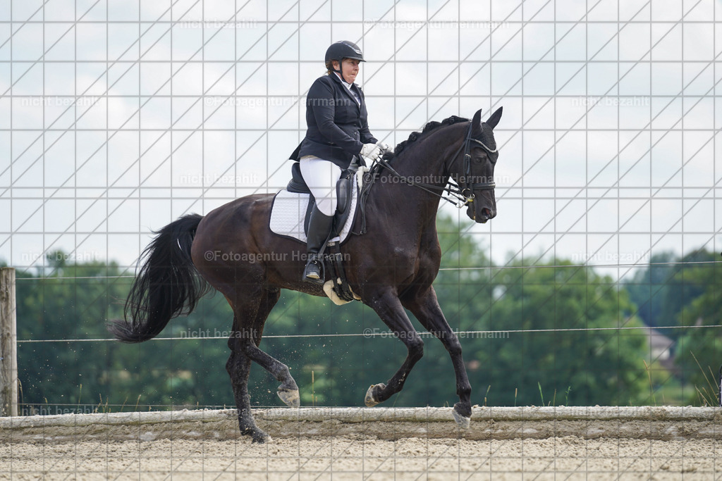20230826-FAH05769 | Forstinning, 2023, Dressurturnier, Turniersportbilder, Turnierfotografen Bayern, Fotoagentur Herrmann, Reitsportfotografie, Turnierbilder