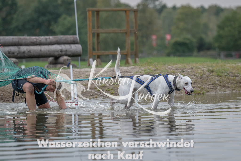 1504_ZZ92854 | kk-dogfotos