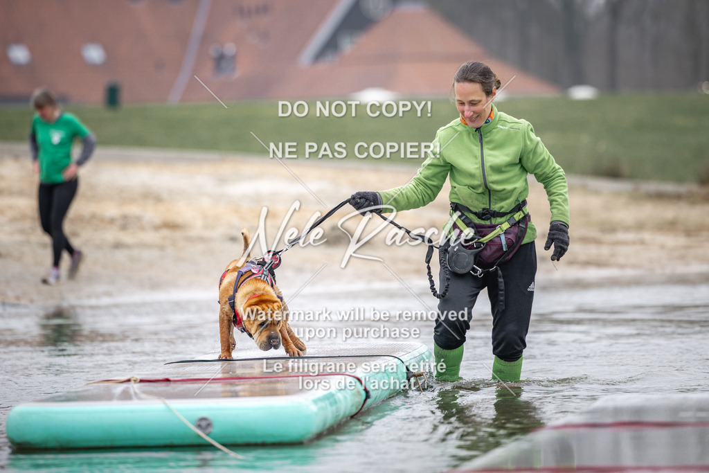 nelerasche_Hulsbeek_Sa1030-1100_717 | nelerasche