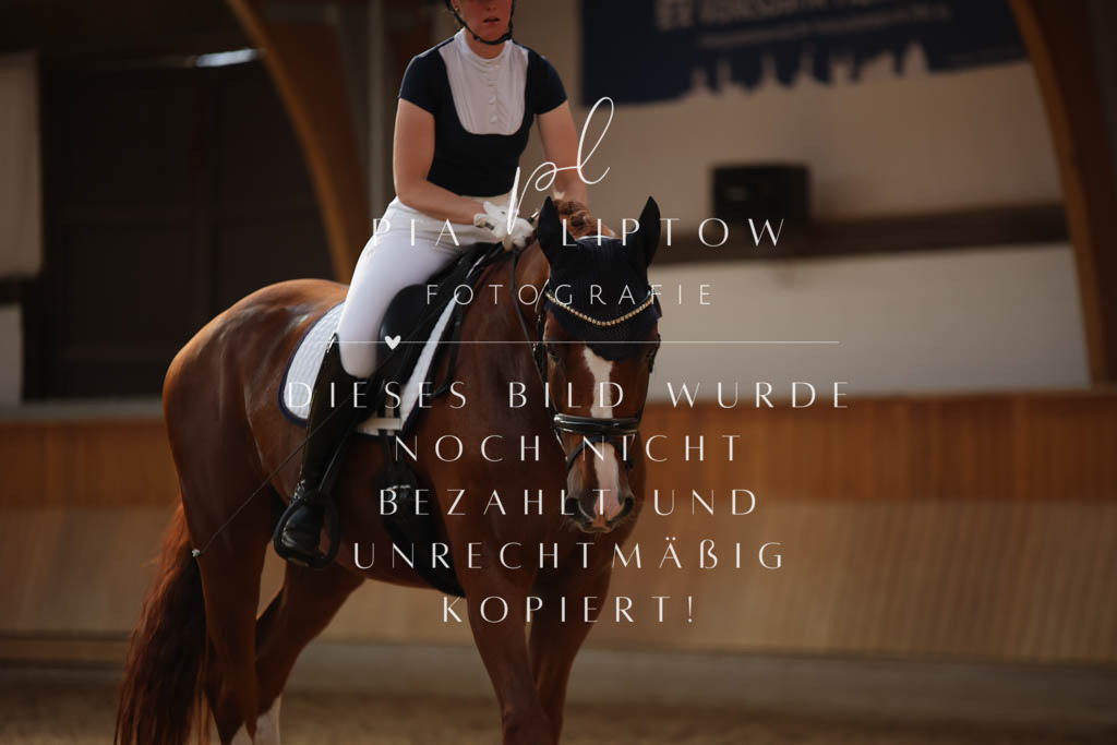 IMGS3195 | pl-fotografie