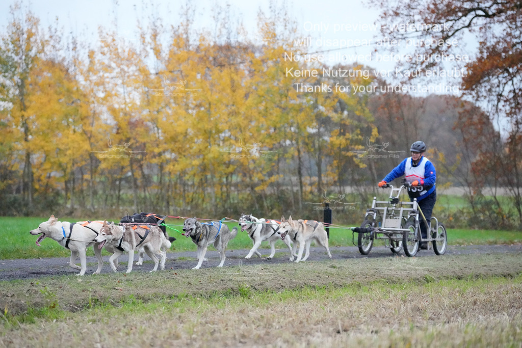 Visbeck_Sa_D4_6-56 | stephaniefillaphotographie - Realisiert mit Pictrs.com