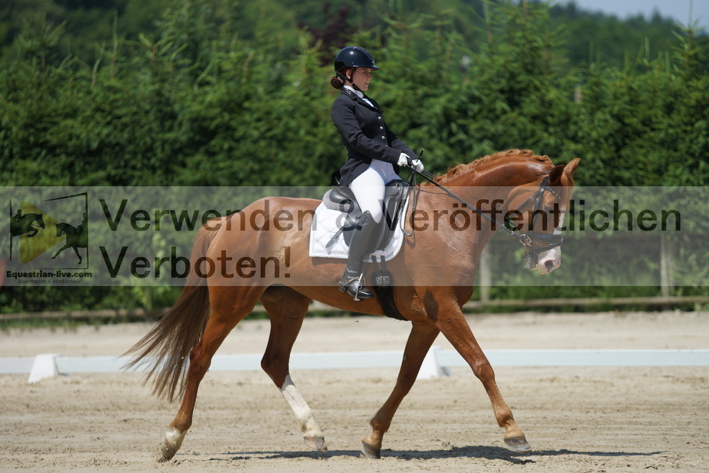 DSC04876 | equestrian-live-com