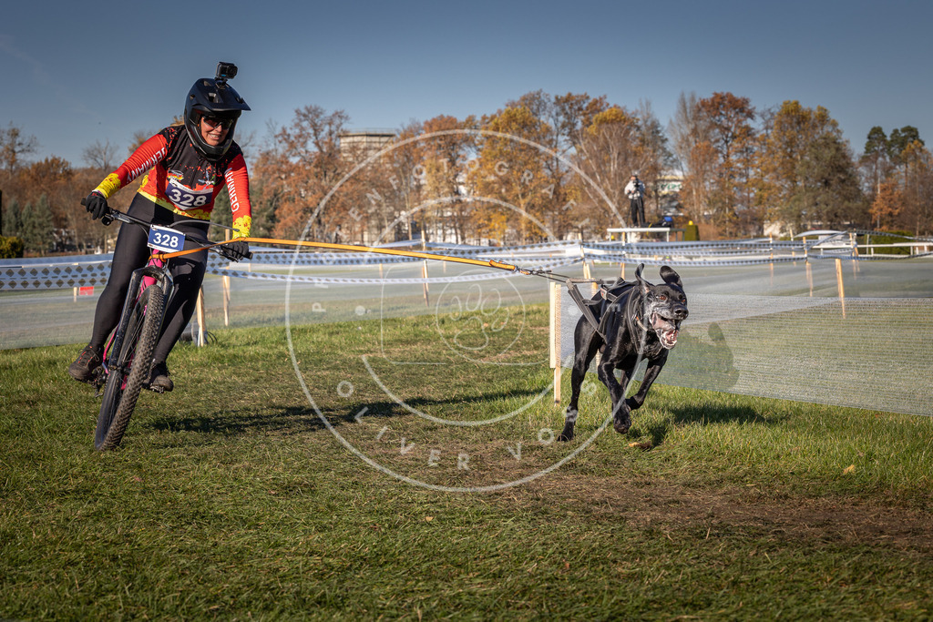 CaniXpix_0L8A5767 | Hundefotografie, Tierfotograf, Pfotenfotografie, Fotoshooting Hund, Hunde Portrait, Hundesport, Hundeportraits, Heideshooting, Hunde, Sportfotograf, Hundefotograf, Turnierhundsport, THS,  - Realisiert mit Pictrs.com